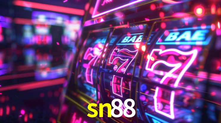 Security Systems sn88